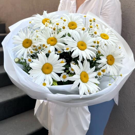Букет ромашка крупная