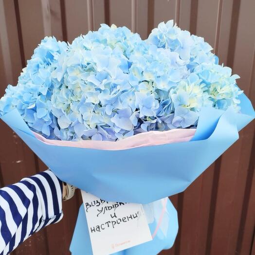 Монобукет из гортензии к 8 ому🩷 💖💙