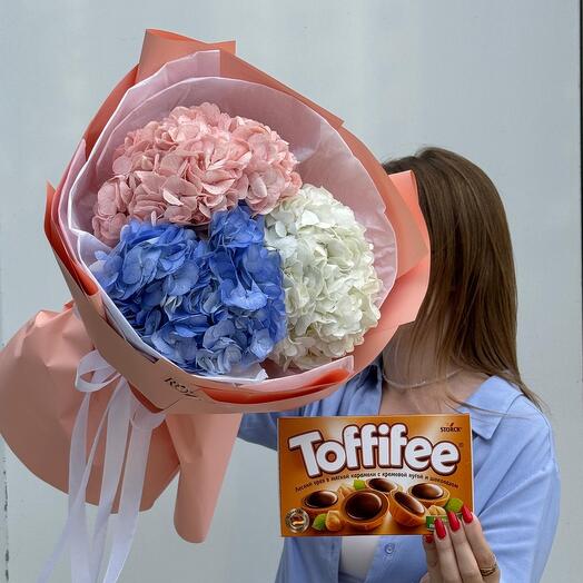 Комбо из 3-х гортензий и Тоффифи