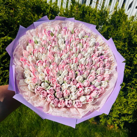 Зефирные тюльпаны ( L)
