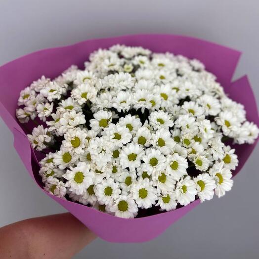 Хризантема кустовая