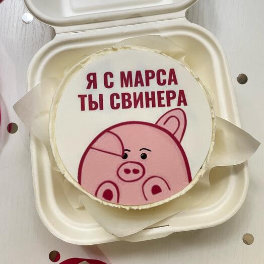 Бенто- торт» я с марса ты с свинера «