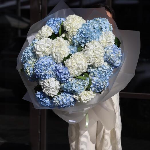 Букет из гортензий самых желанных оттенков