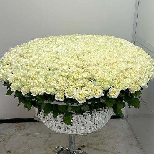 1001 роза в корзине