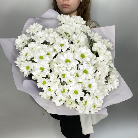 Кустовые белые хризантемы