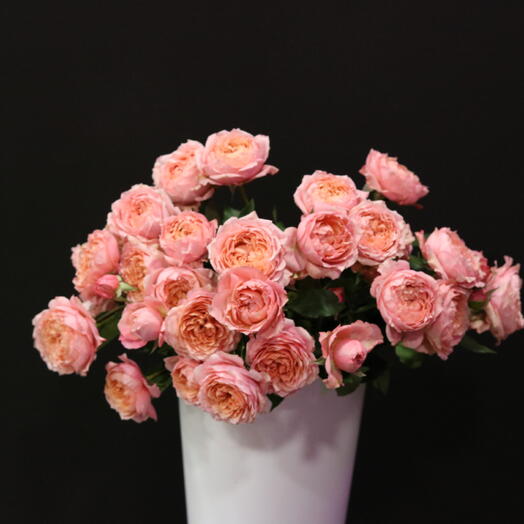 Spray roses "Julietta"