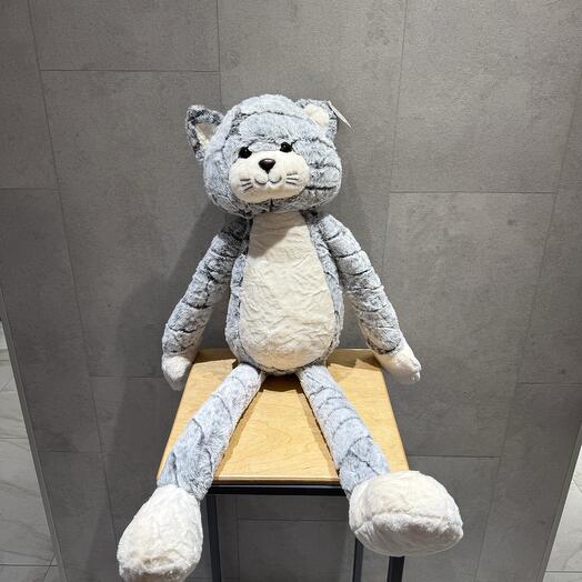 Кот длинные ноги