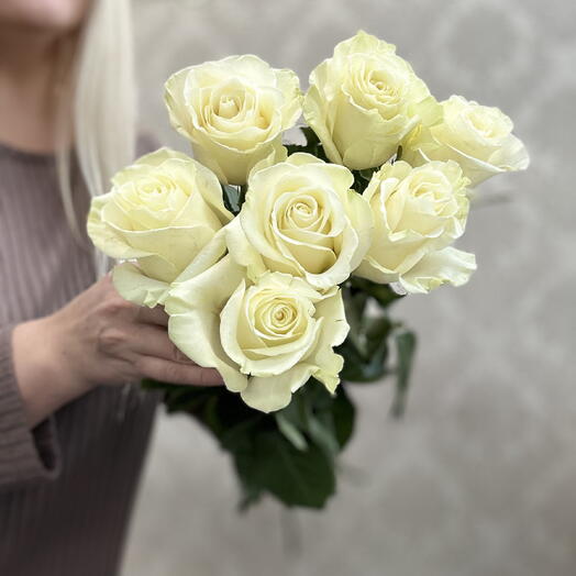 Роза белая 7 шт. Акция