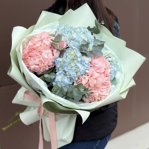 An armful of Hydrangeas and an Equalizer