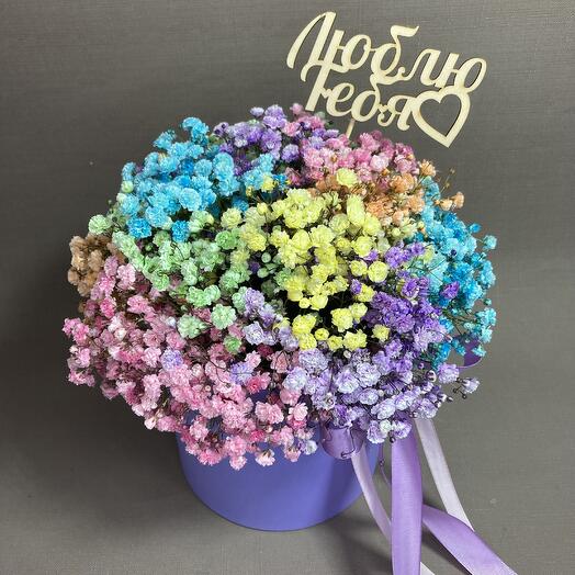 Rainbow Gypsophila