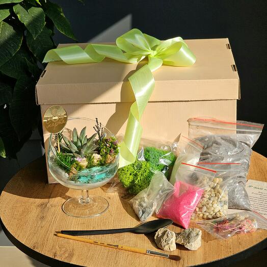 Set for creating your own florarium "Plant yourself"