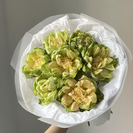 Монобукет из необычных зеленых роз ВЕГГИ\VEGGIE 🥦