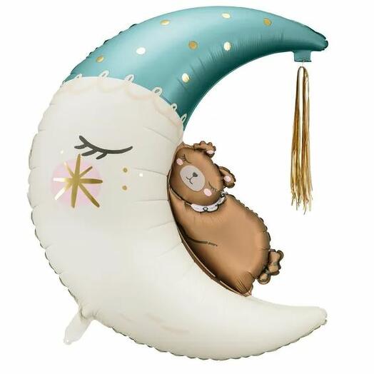 Teddy on the moon for boys