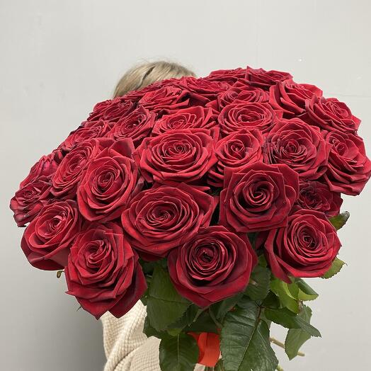 31 Ароматная красная Роза🌹