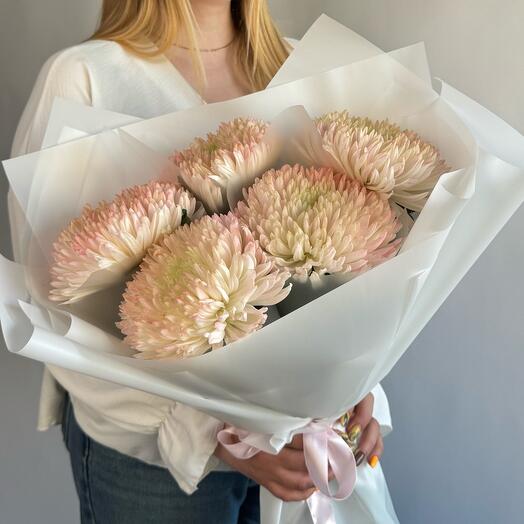 Букет 5 хризантем