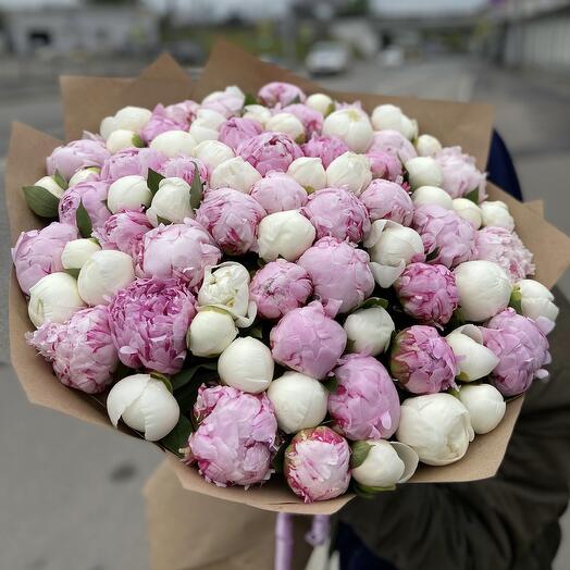 Букет из 79 пионов