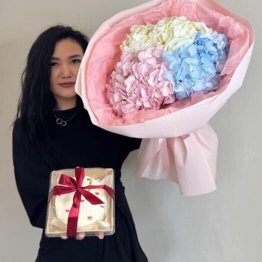 Combo hydrangeas+bento