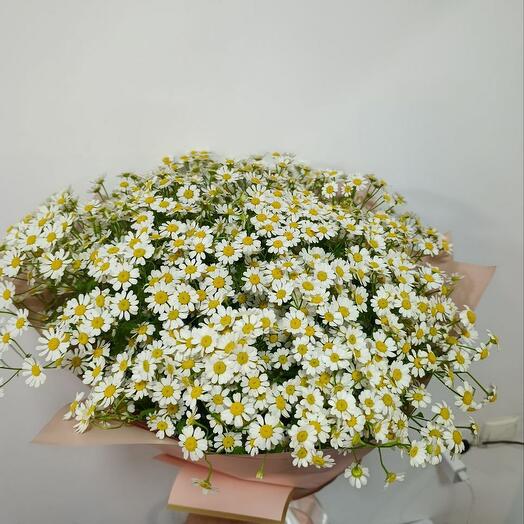 Восточный! из 31 веточек ромашек 🌼🦋🍀 больше живых Цветов и меньше обертки пустой =)