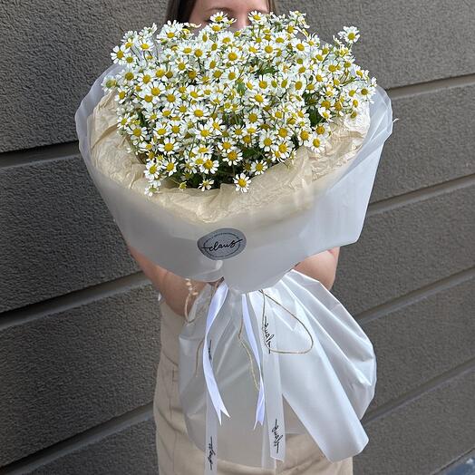 Ромашки кустовые нежный весенний букет