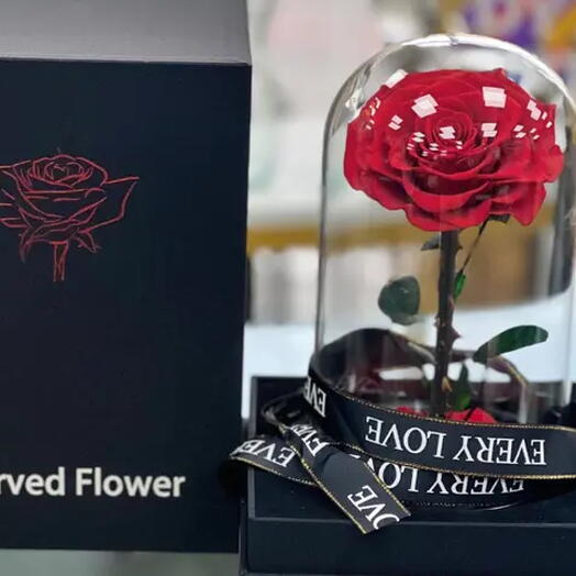 Infinity Rose Red
