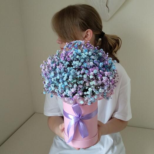 Marshmallow dreams