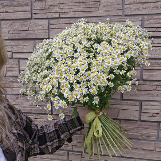 Большой полевой букет
