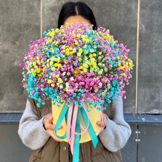 Радужная гипсофила в коробке