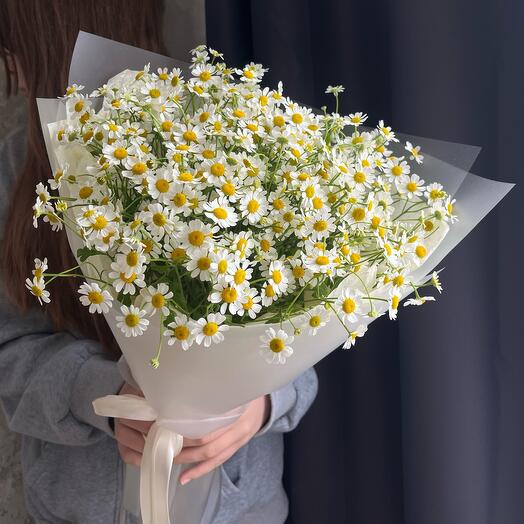 Букет ромашек🌼