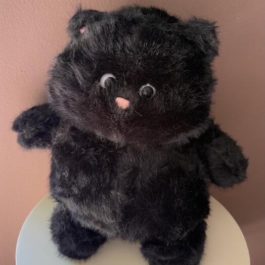 Кот толстяк