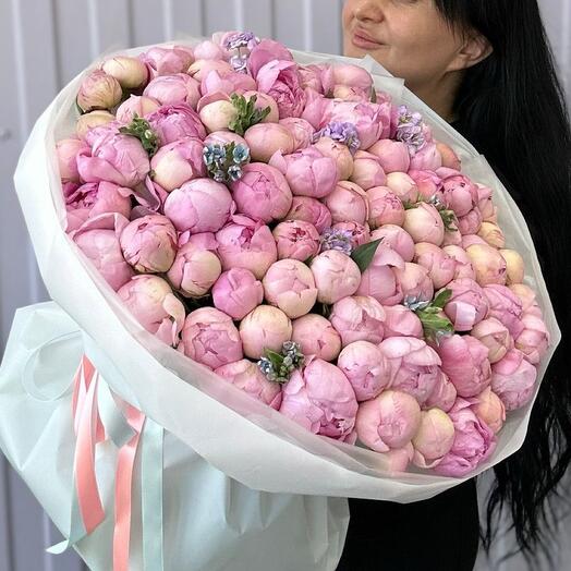 101 ПИОН PREMIUM