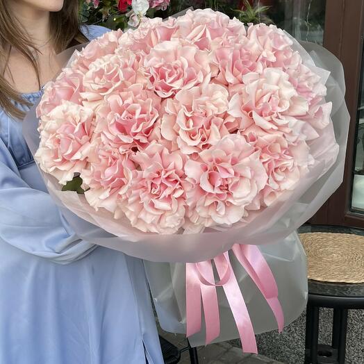 Роскошный монобукет из 17 французских розовых роз