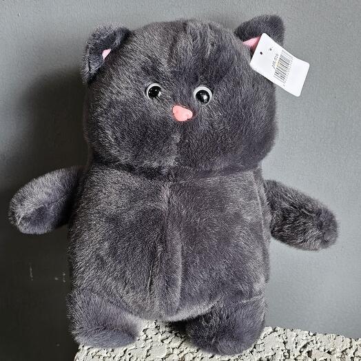 Кот бегемот средний