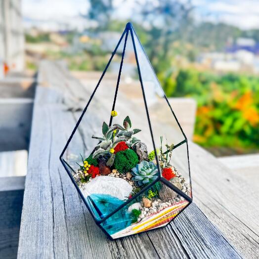 Флорариум «Каменистый берег»