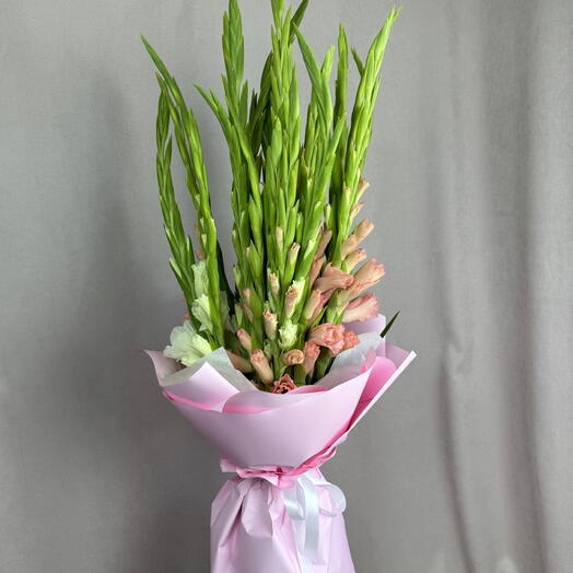 25 Розово - белых гладиолусов 🎀🤍
