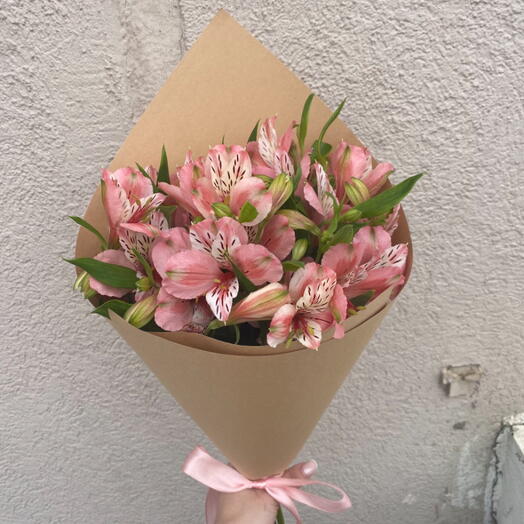 Pink white alstra|Soulful Connection
