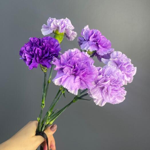 Ритуальный букет из 6 лунных возник