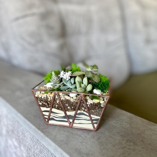 Флорариум медный подарок на день рождения