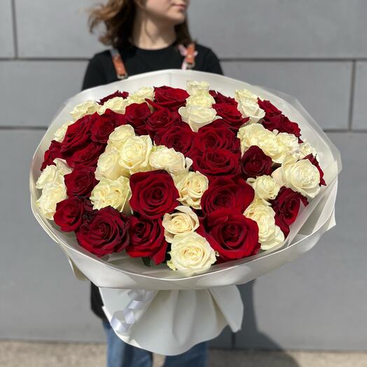 Букет из 51 красно-белой розы Эквадор 60см