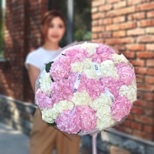 Гортензия WOW