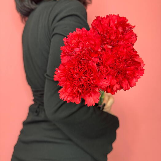 Букет 2124 | красная гвоздика для траурных мероприятий