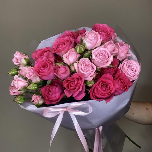 Aurora garden | Kenya rose