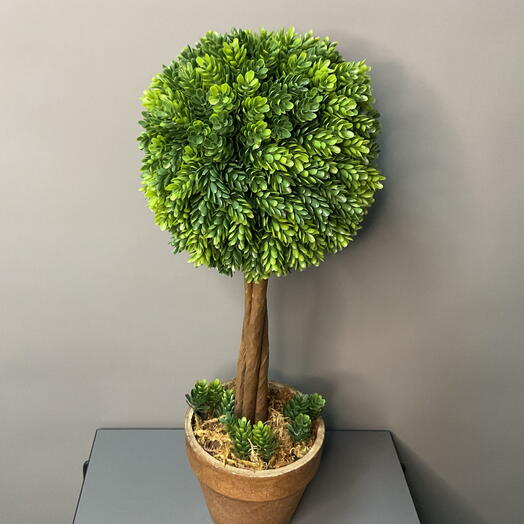 Топиарий искусственный ,,самшит,, ручной работы
