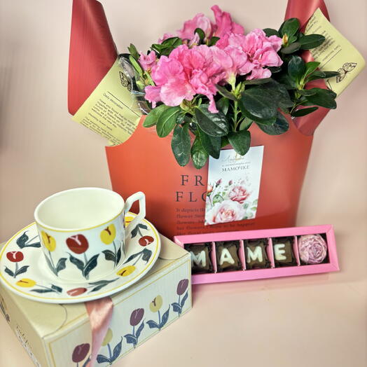 Для самой любимой мамы: азалия горшечная, чайная пара уникальная, конфеты ручной работы и открытка