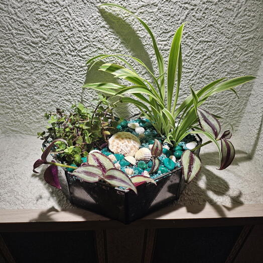 Флорариум Сердечко