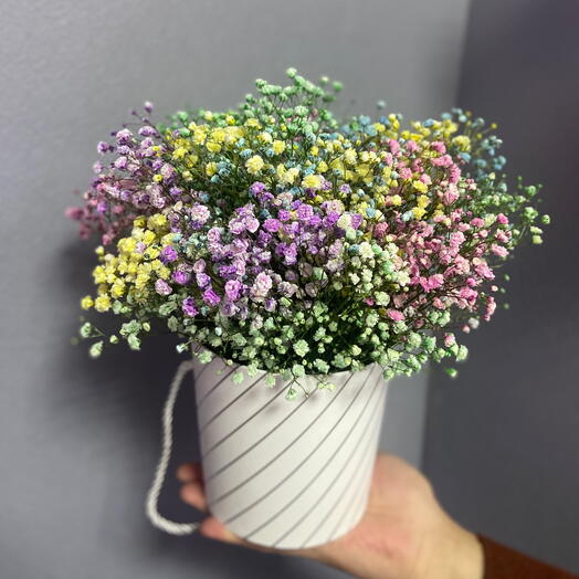 Цветы в коробке, гипсофила
