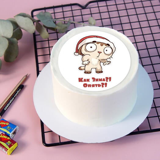 Бенто торт Как Зима?! Опять