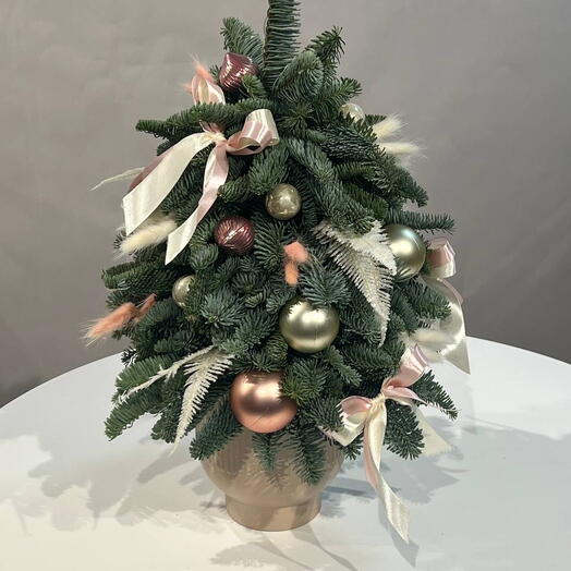 Елка новогодняя из нобилиса в нежных оттенках "Розовый Шампань"