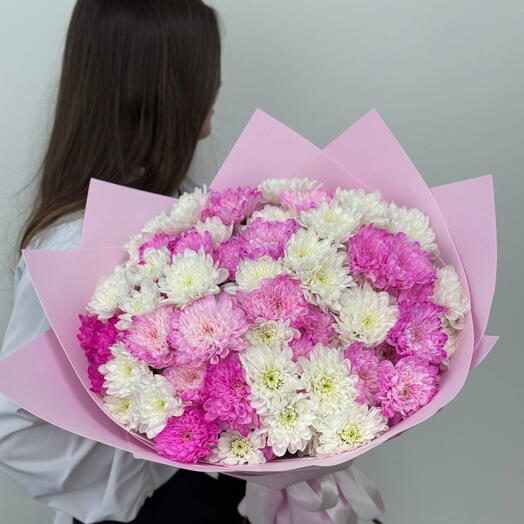 Букет из 25-ти бело-розовой махровой хризантемы