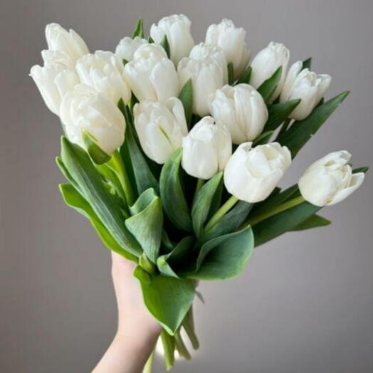 Букет из белых тюльпанов