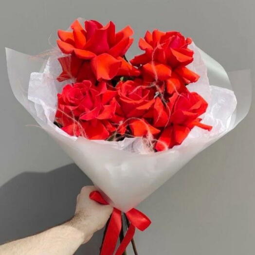 Французская красная роза 🌹